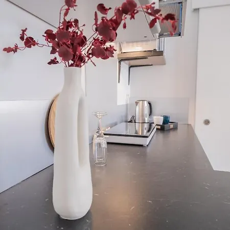 Apartment Chic Proche Aeroport & Centre-ville