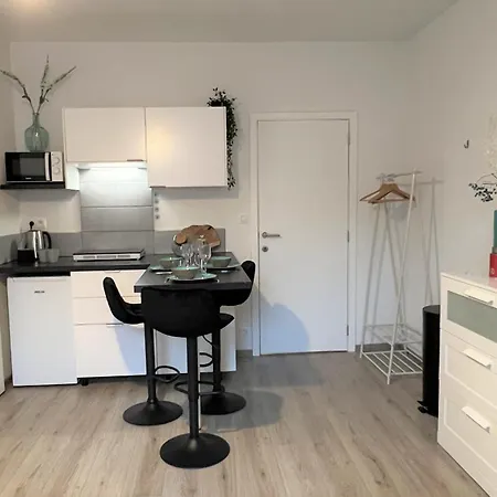 Chic Proche Aeroport & Centre-ville Appartement