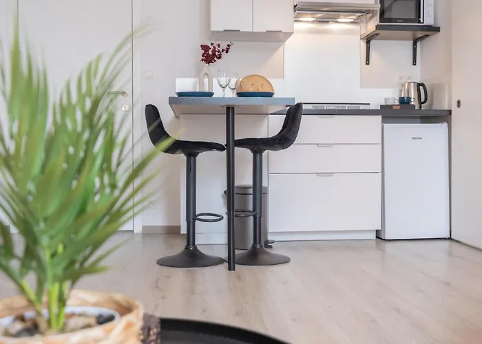 Chic Proche Aéroport&centre-ville Appartement