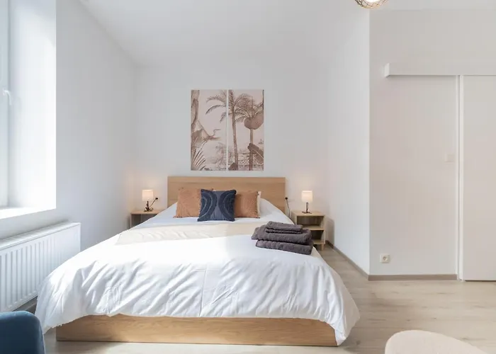 Chic Proche Aéroport&centre-ville Appartement