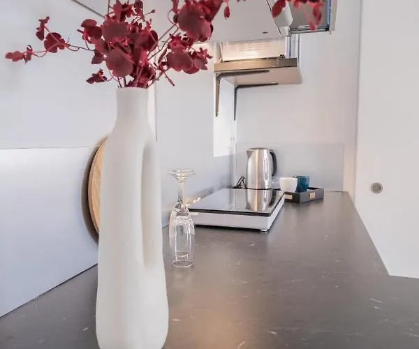 Appartement Chic Proche Aéroport&centre-ville