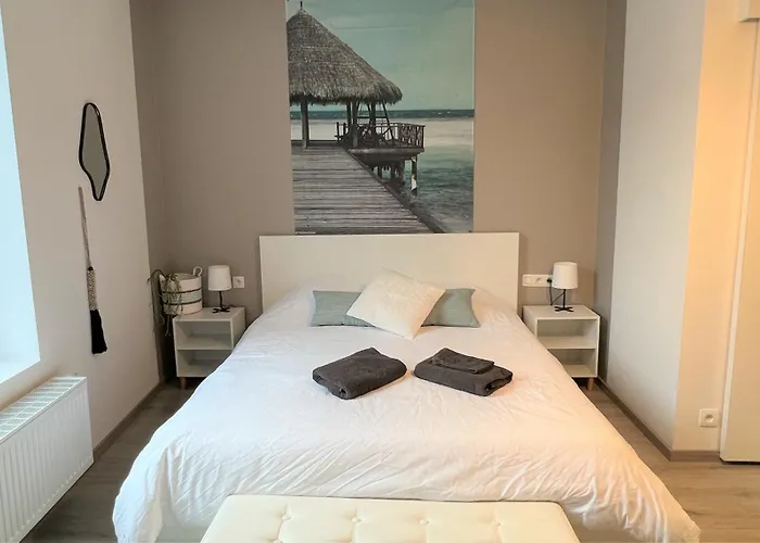 Chic Proche Aéroport&centre-ville Appartement