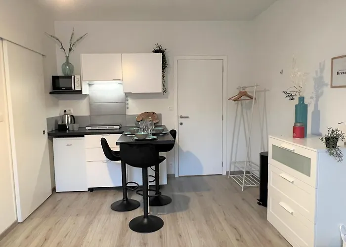 Chic Proche Aéroport&centre-ville Appartement